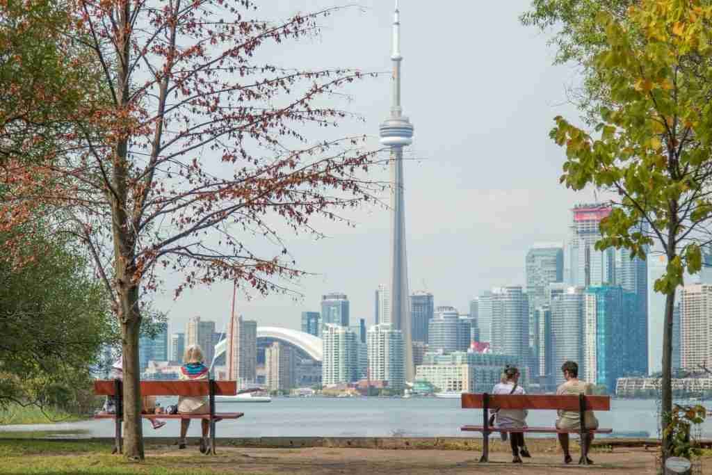 How Can a Toronto SEO Marketing Agency Help Your Business Grow? Toronto Seo Marketing Agency